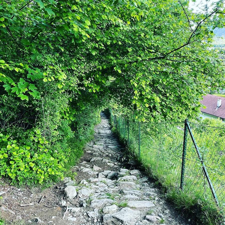 Ferienwohnung Daberer Obervellach Luaran gambar